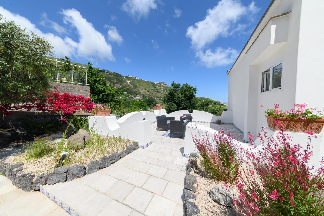 Sorgeto Garden